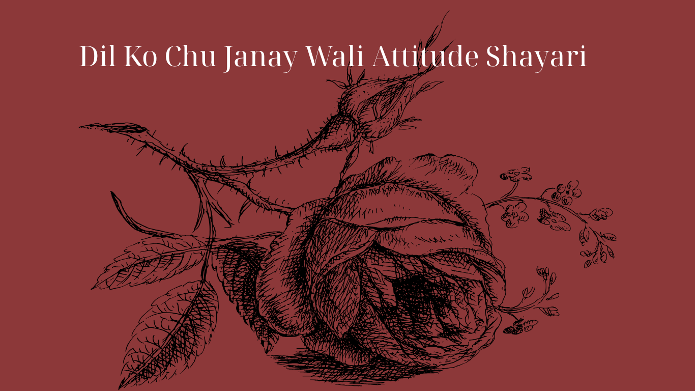 Dil Ko Chu Janay Wali Attitude Shayari