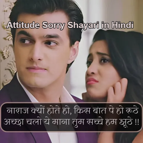 Attitude Sorry Shayari in Hindi