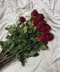 नया साल 2026 की शायरी