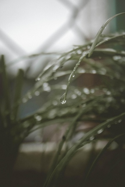 पहली बारिश शायरी banner