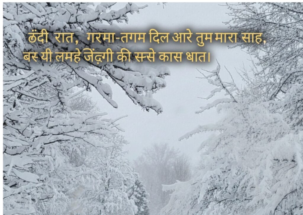 Snowflake Quotes Banner