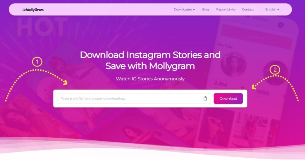 mollygram com instagram